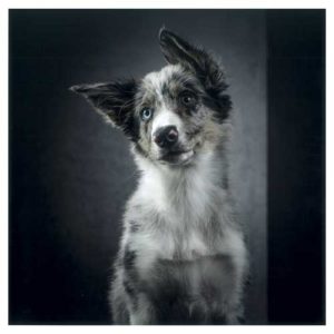 Impression photo sur plexi
